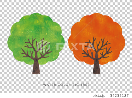 水彩の大木緑と紅葉のイラスト素材