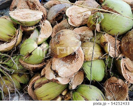 Dry husk of coconut peel 54252433