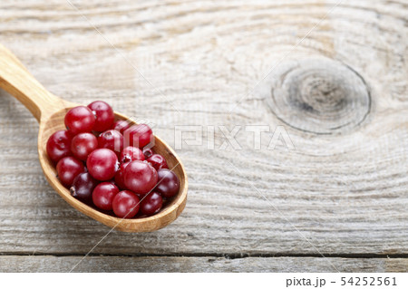 Fresh red forest cranberry in a spoon Fresh red forest cranberry in a spoon 54252561
