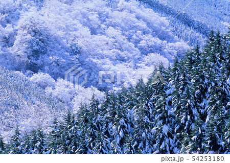 雪化粧の裾野 雪化粧の裾野 54253180