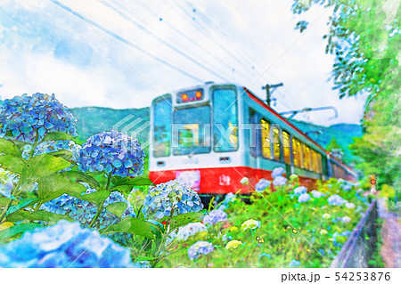 アートプリンター【紫陽花薫る箱根登山鉄道】 絵画 HR 通販