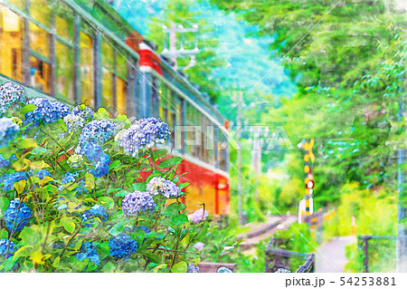 風景画　箱根登山鉄道　水彩画 紫陽花　　SHO 水彩画風] 箱根登山鉄道とあじさいの風景のイラスト素材