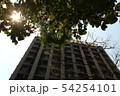 建築 構築 アーキテクチャ 54254101