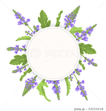 Verbena Round Circle badge. leaf branch, flowers 54254318