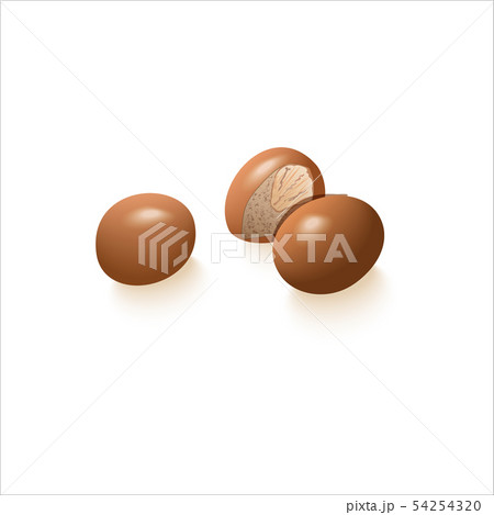 Brown nuts whole. hazelnut or Macadamia on white 54254320