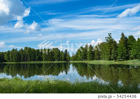Summer panoramic landscape with a lake Summer panoramic landscape with a lake 54254436