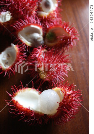 ランブータン ランブータン 54254475