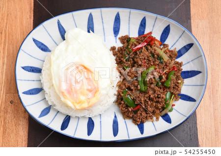 タイ料理 ガパオライス タイ料理 ガパオライス 54255450