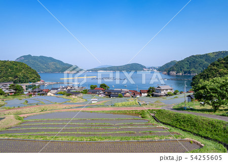 日引の棚田 54255605