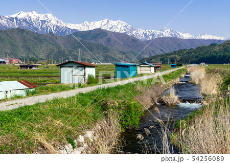 春の北アルプスと農具川 長野県大町市 春の北アルプスと農具川 長野県大町市 54256089