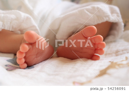 赤ちゃんの足 赤ちゃんの足 54256091