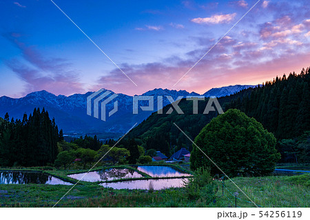 (長野県)白馬村 青鬼(あおに)集落の棚田と残雪の北アルプス 夕景 (長野県)白馬村 青鬼(あおに)集落の棚田と残雪の北アルプス 夕景 54256119