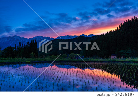 (長野県)白馬村 青鬼(あおに)の棚田と残雪の北アルプス 夕景 (長野県)白馬村 青鬼(あおに)の棚田と残雪の北アルプス 夕景 54256197
