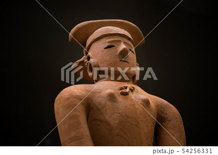 古代の撫子 古代の撫子 54256331