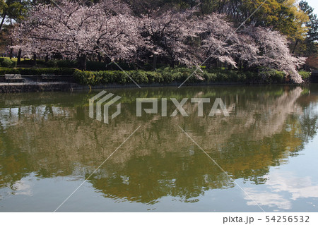 名古屋城点景 54256532