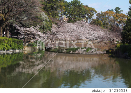 名古屋城点景 54256533
