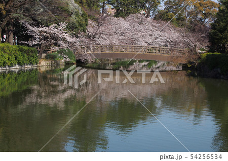 名古屋城点景 54256534