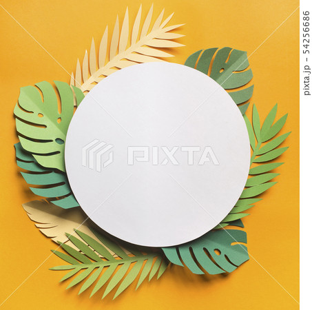 Tropical leaves composition around white blank place on yellow Tropical leaves composition around white blank place on yellow 54256686