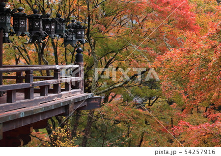 吊られた燈篭と秋景色 吊られた燈篭と秋景色 54257916