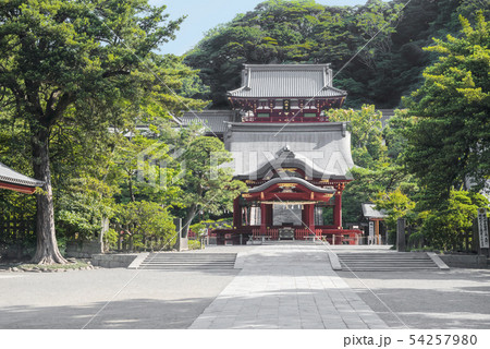 鶴岡八幡宮(鎌倉市雪ノ下) 鶴岡八幡宮(鎌倉市雪ノ下) 54257980