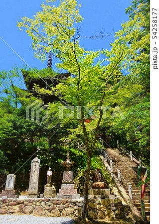 一乗寺 三重塔 国宝 一乗寺 三重塔 国宝 54258177