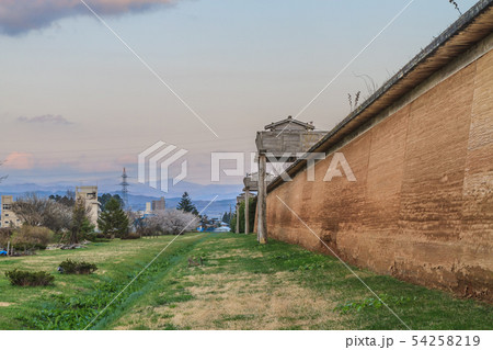 春の志波城跡の風景 54258219
