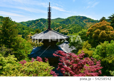 一乗寺 三重塔 国宝 一乗寺 三重塔 国宝 54258542