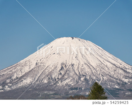 羊蹄山　アップ 54259425