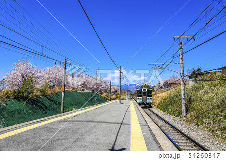 【山梨県】JR穴山駅を走る211系と桜並木・八ヶ岳 【山梨県】JR穴山駅を走る211系と桜並木・八ヶ岳 54260347