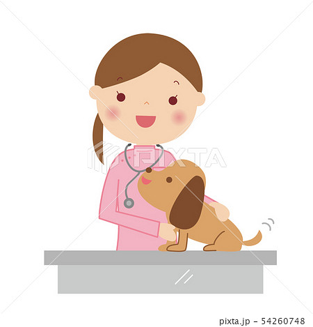 女性獣医さんと犬のイラストのイラスト素材
