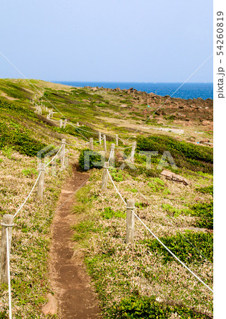 角島 54260819