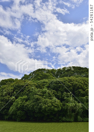 【大阪府 羽曳野市】世界遺産・古市古墳群(白鳥陵古墳」) 【大阪府 羽曳野市】世界遺産・古市古墳群(白鳥陵古墳」) 54261167