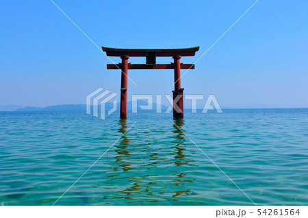 白髭神社 朱色の鳥居 白髭神社 朱色の鳥居 54261564