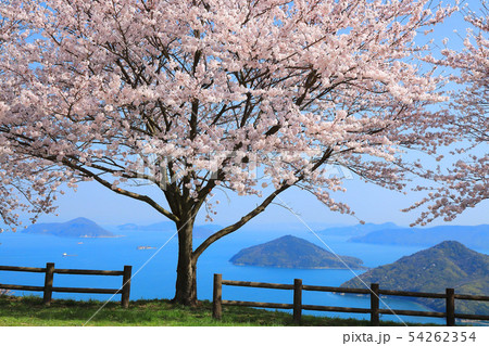 春の紫雲出山からの瀬戸内海 54262354