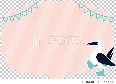 框架材料的藍腳鰹鳥 框架材料的藍腳鰹鳥 54262578