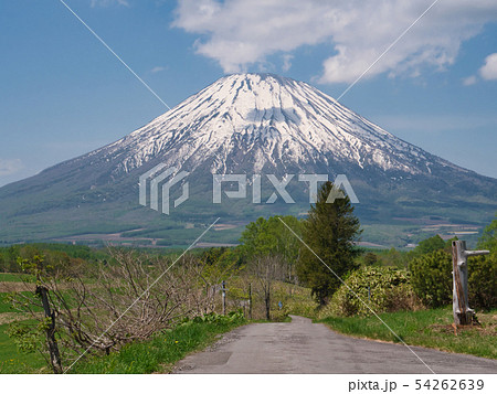 羊蹄山 望羊の丘 羊蹄山 望羊の丘 54262639