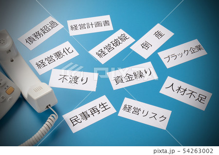 ビジネスフォン ビジネスフォン 54263002