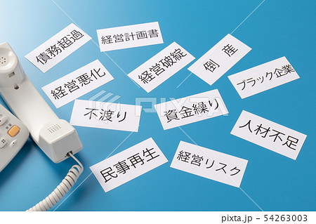 ビジネスフォン 54263003