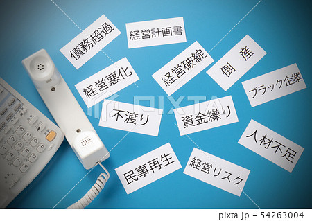ビジネスフォン ビジネスフォン 54263004