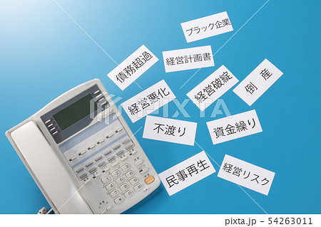 ビジネスフォン ビジネスフォン 54263011