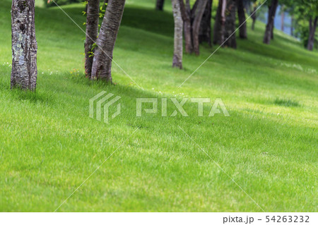 PXグリーンパークG35 PXグリーンパークG35 54263232