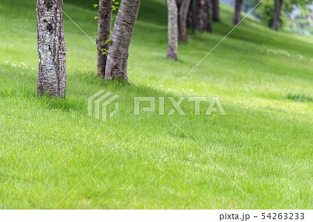 PXグリーンパークG34 PXグリーンパークG34 54263233