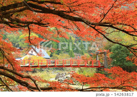 秋の香嵐渓　もみじまつり 54263817