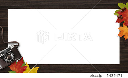 背景 木目 カメラ 落ち葉 秋 フレームのイラスト素材