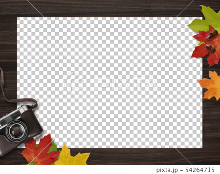 背景 木目 カメラ 落ち葉 秋 フレームのイラスト素材