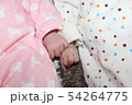 生後1ヶ月のお友達 54264775