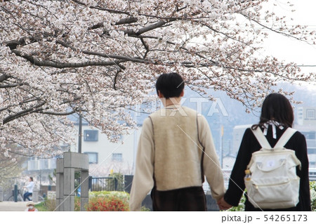 ≪東京都・八王子市≫川辺・満開の桜・２０代カップル 54265173