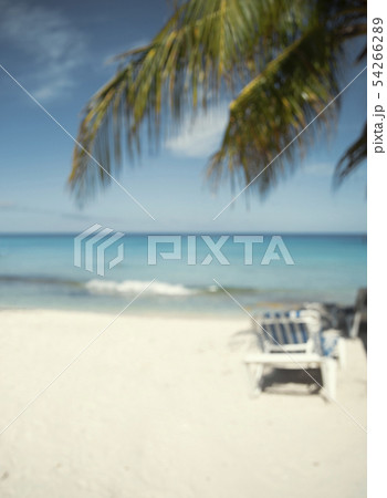 Blur background of beach, sunbed and palm tree 54266289