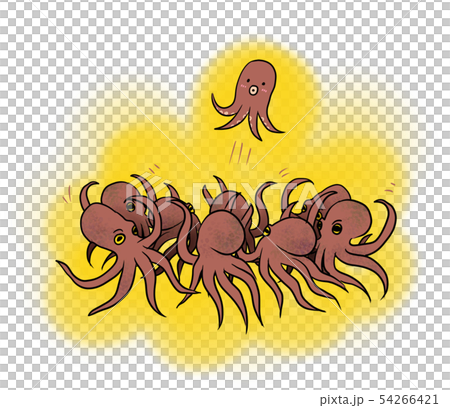 Octopus body raised (a lot) Octopus body raised (a lot) 54266421