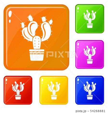 Cactus in pot icons set vector color 54268881